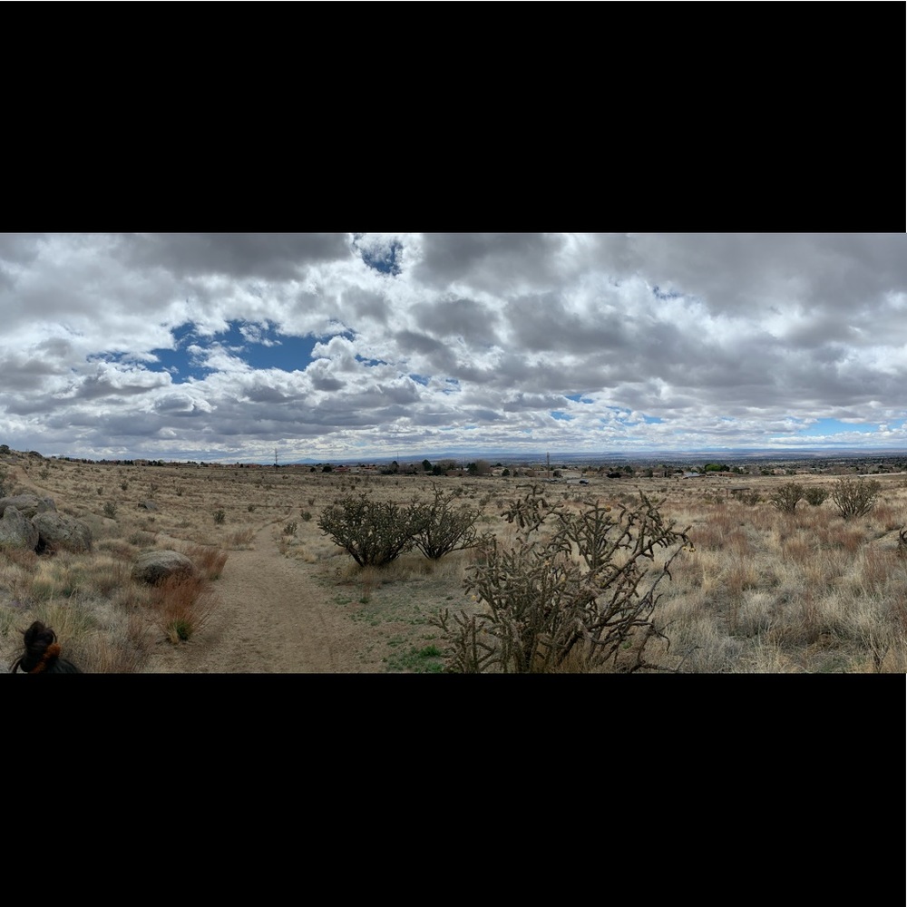 Meet your Posher, Javen